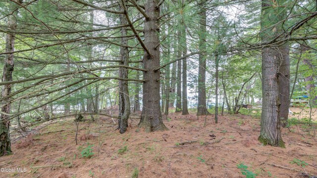 115 Shore Dr, Broadalbin, NY 12025 - view of nature