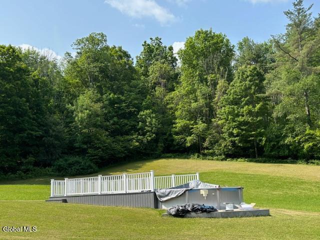 234 Mary Taylor Rd, Middleburgh, NY 12122 - photo 35