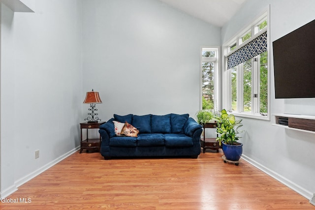 5 Gregg Rd, Altamont, NY 12009 - living room with light wood-style floors and vaulted ceiling