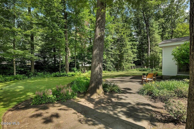 30 Longwood Dr, Saratoga Springs, NY 12866 - photo 103