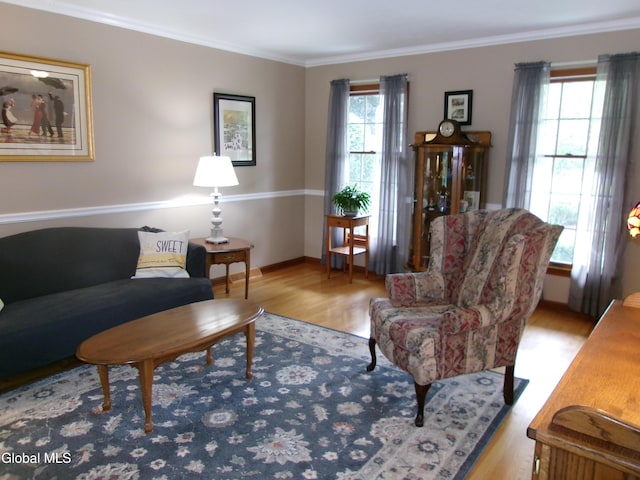 22 Frances Ln, Bethlehem, NY 12203 - living room featuring wood finished floors and ornamental molding