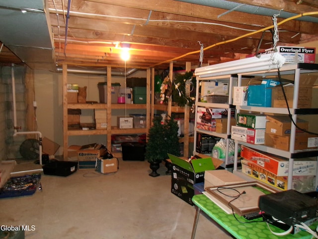 22 Frances Ln, Bethlehem, NY 12203 - view of storage