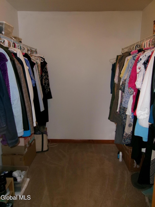 22 Frances Ln, Bethlehem, NY 12203 - spacious closet featuring carpet flooring