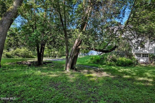 36 High Mills Rd, Glenville, NY 12027 - photo 32