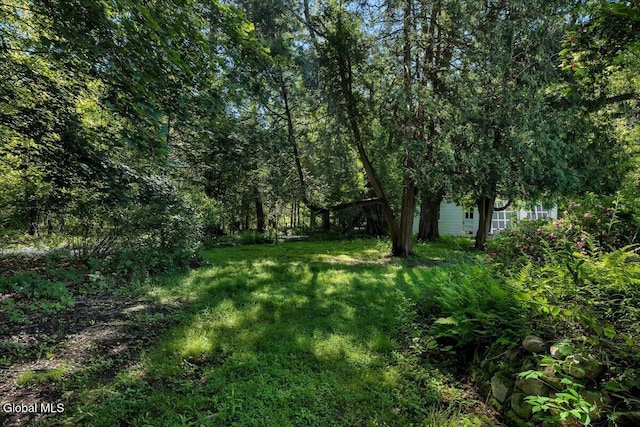 36 High Mills Rd, Glenville, NY 12027 - photo 33