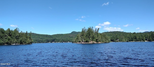 L50 Adams Ln, Schroon, NY 12870 - photo 1