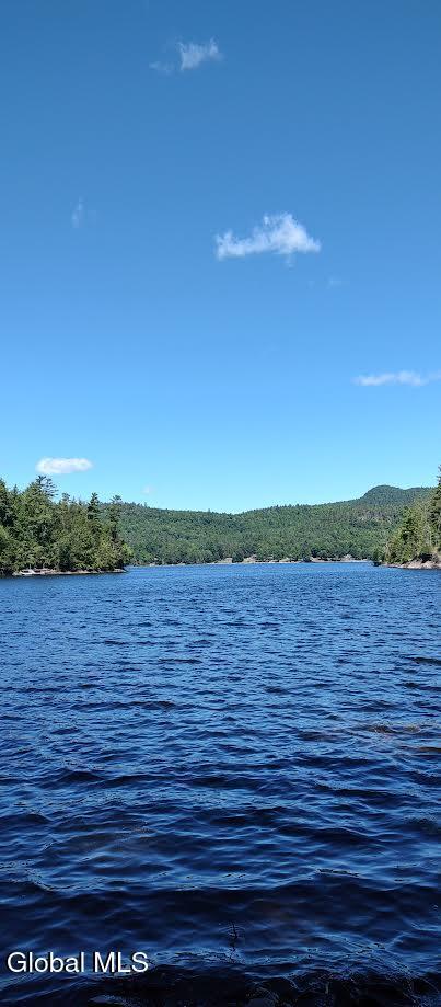L50 Adams Ln, Schroon, NY 12870 - photo 2