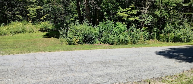 L50 Adams Ln, Schroon, NY 12870 - photo 3