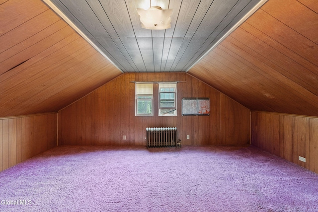 2780 Campbell Ave, Schenectady, NY 12306 - additional living space featuring radiator, carpet, wood walls, lofted ceiling, and wooden ceiling