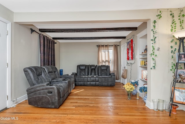19 Elmhurst Ave, Colonie, NY 12205 - living room with light wood finished floors and beamed ceiling
