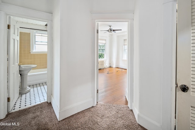 692 Morris St, Albany, NY 12208 - photo 13