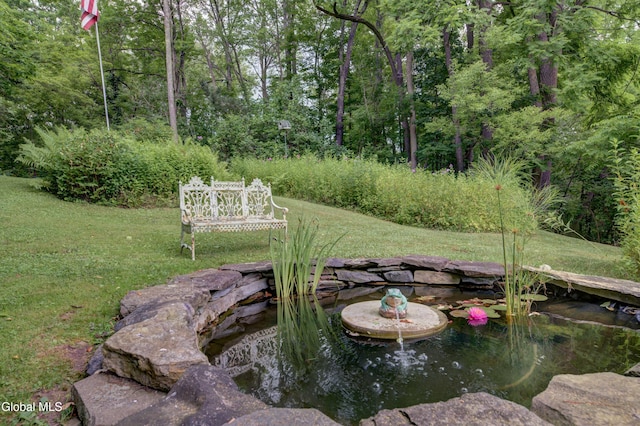 261 Summit St, Richmondville, NY 12149 - photo 71