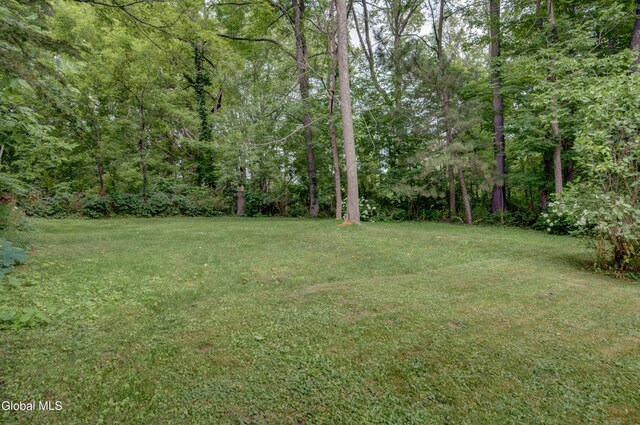 261 Summit St, Richmondville, NY 12149 - photo 75