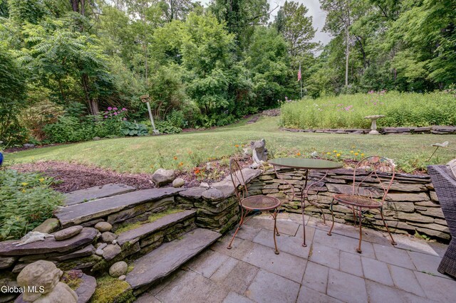 261 Summit St, Richmondville, NY 12149 - photo 68