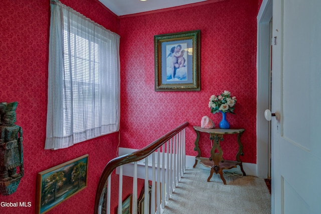 261 Summit St, Richmondville, NY 12149 - photo 46