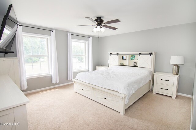 8 Joseph Ct, Schaghticoke, NY 12154 - photo 37