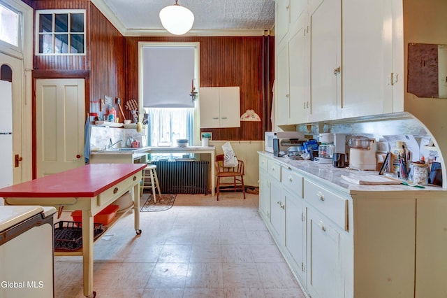 61 Mohawk St, Fort Plain, NY 13339 - kitchen with radiator heating unit, wooden walls, white cabinets, light countertops, and light flooring