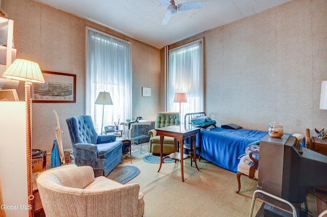 61 Mohawk St, Fort Plain, NY 13339 - view of carpeted bedroom