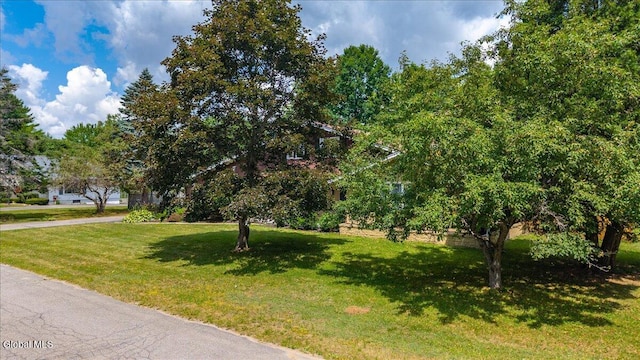 10 Heather Ln, Johnstown, NY 12078 - view of property hidden behind natural elements featuring a front yard