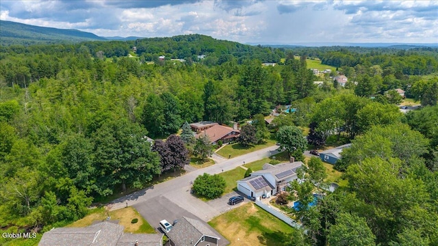 10 Heather Ln, Johnstown, NY 12078 - aerial view of a heavily wooded area