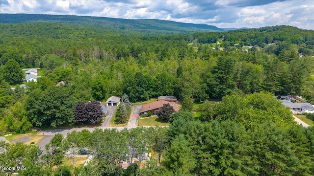 10 Heather Ln, Johnstown, NY 12078 - aerial overview of property's location with a forest