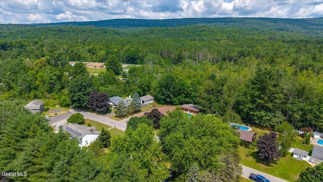 10 Heather Ln, Johnstown, NY 12078 - aerial view of property and surrounding area featuring a heavily wooded area
