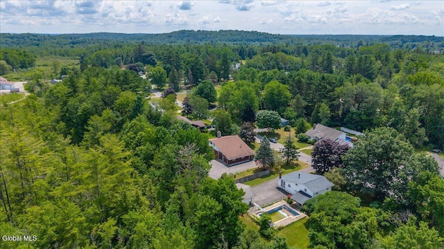 10 Heather Ln, Johnstown, NY 12078 - bird's eye view of a forest