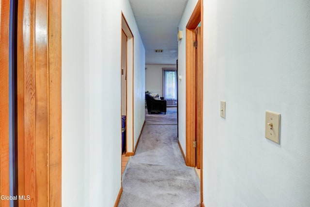 5 Wendfair Ter, Colonie, NY 12205 - corridor with light carpet and baseboards