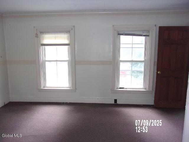 20 N 4th Ave, Ilion, NY 13357 - unfurnished room featuring plenty of natural light and crown molding