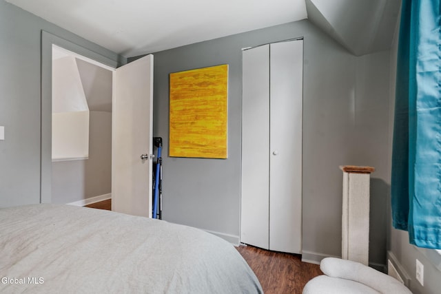 407 Huston St, Scotia, NY 12302 - bedroom with dark wood-style floors and a closet