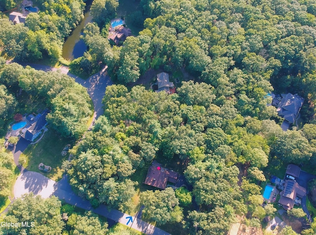 3 Blueberry Way, Saratoga Springs, NY 12866 - photo 52