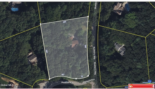 3 Blueberry Way, Saratoga Springs, NY 12866 - photo 54