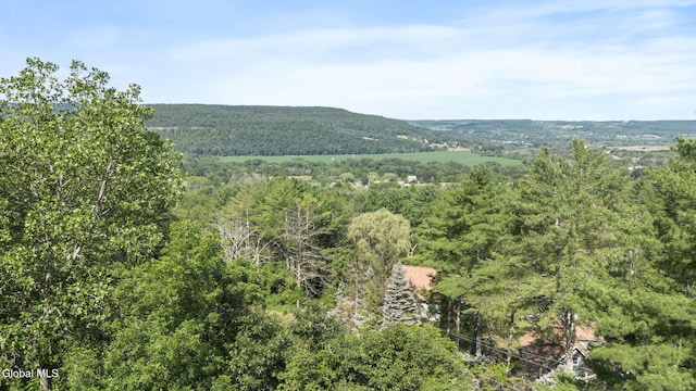 250 Barton Hill Rd, Schoharie, NY 12157 - photo 71