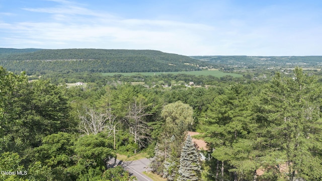 250 Barton Hill Rd, Schoharie, NY 12157 - photo 72