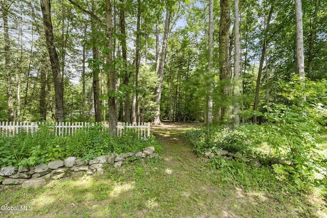 11 Amber Way, Milton, NY 12020 - photo 39