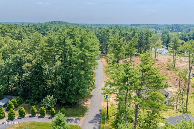 233 Pinewood Dr, Guilderland, NY 12203 - photo 41