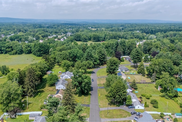 233 Pinewood Dr, Guilderland, NY 12203 - photo 45