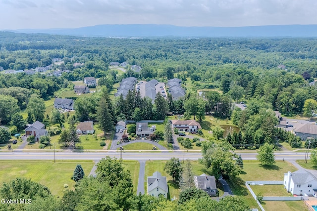 233 Pinewood Dr, Guilderland, NY 12203 - photo 46