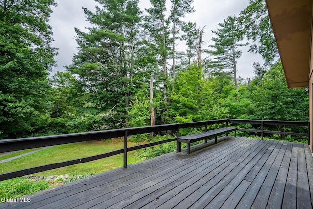 375 Indian Head Way, Salem, NY 12865 - photo 23