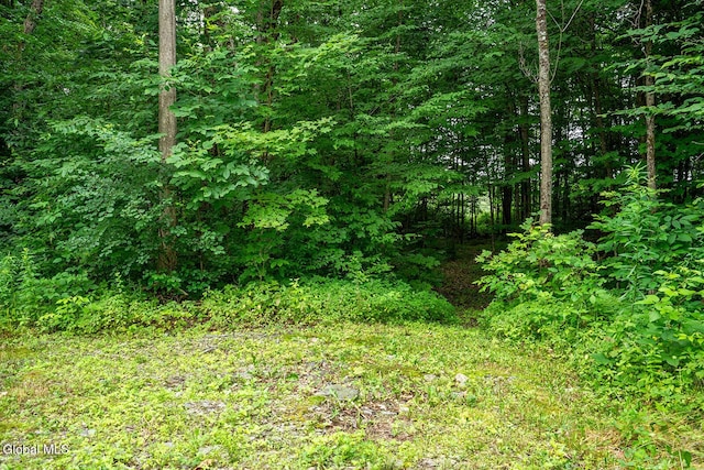 375 Indian Head Way, Salem, NY 12865 - photo 26