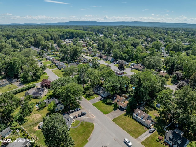 1105 Outer Dr, Rotterdam, NY 12303 - photo 31