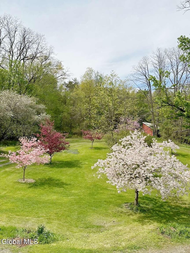 18 Spring Rd, Glenville, NY 12302 - photo 4