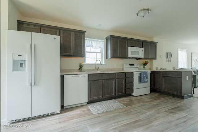 420 Summit Ave, Schenectady, NY 12307 - kitchen featuring white appliances, dark brown cabinets, light countertops, and light wood-style flooring