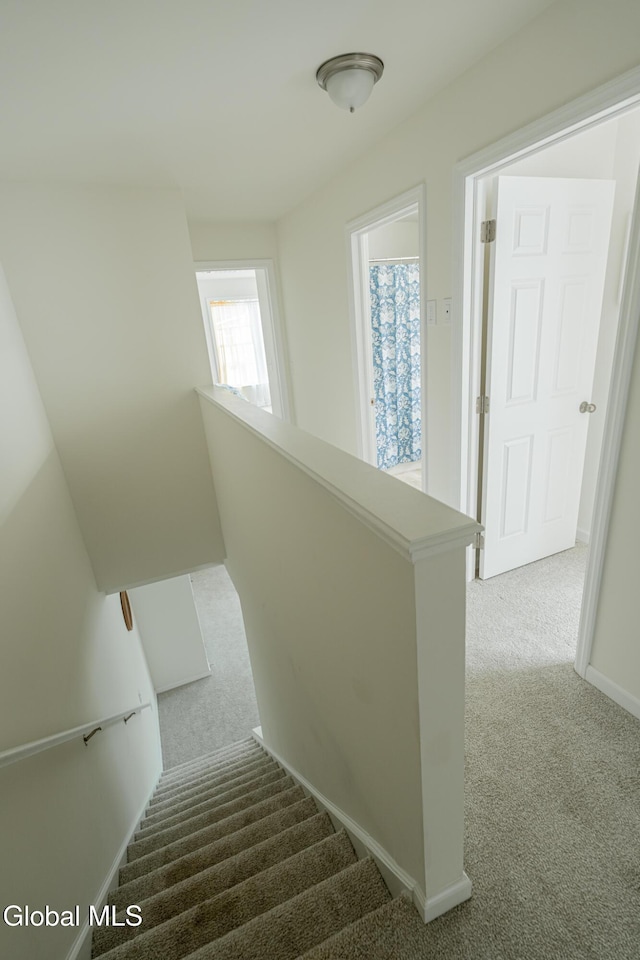 424 Summit Ave, Schenectady, NY 12307 - stairway with carpet flooring