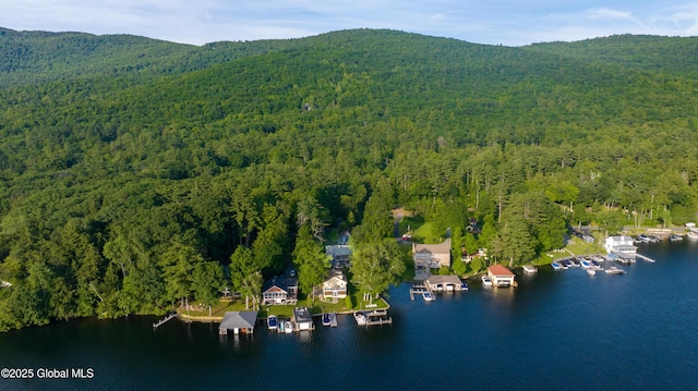 83 Pilot Knob Rd, Queensbury, NY 12804 - view of property location with a heavily wooded area and a water and mountain view