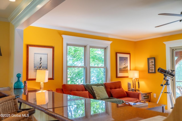 83 Pilot Knob Rd, Queensbury, NY 12804 - living room featuring ornamental molding and a ceiling fan