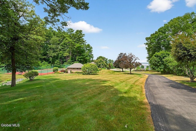 3 Pine Ridge Rd, Saratoga Springs, NY 12866 - view of asphalt road
