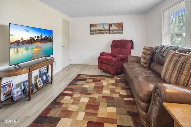 27 Wendell Dr, Colonie, NY 12205 - living area with wood finished floors and ornamental molding