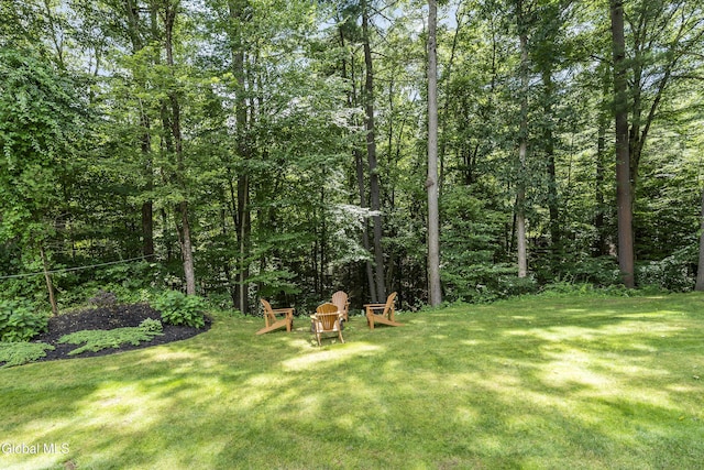 222 Bell Ct, Guilderland, NY 12303 - view of green lawn