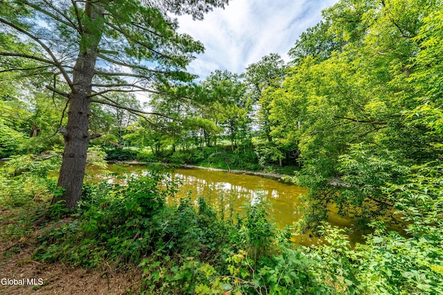 2191 Helderberg Trl, Berne, NY 12023 - photo 6